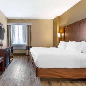 King Suite - Accessible/Non-Smoking