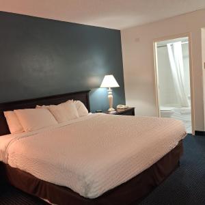 King Suite with Sofa Bed - Non Smoking