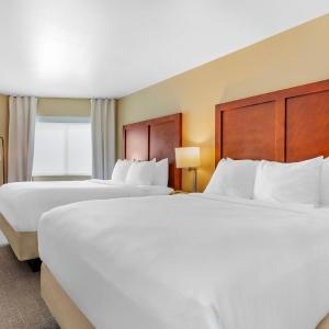 Queen Room with Two Queen Beds - Non-Smoking