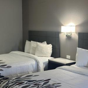 Deluxe Room Two Double Beds Non-Smoking