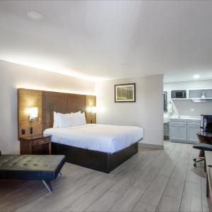 Deluxe King Suite
