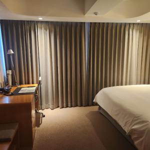 Studio Suite (1 King Bed)