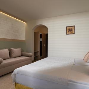 Double or Twin Room with Mountain View
