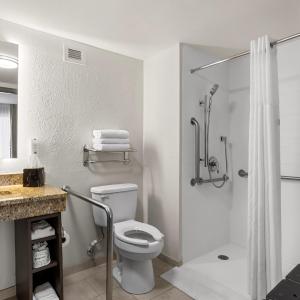 King Room - Accessible/Non-Smoking