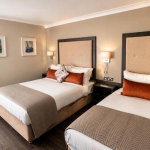 Deluxe Double Single Room