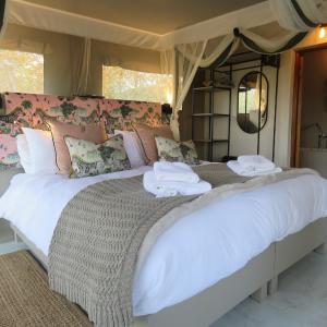 Luxury Safari Tent 3