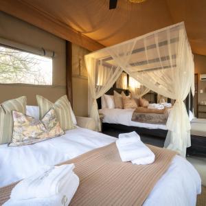 Superior Tented Suite