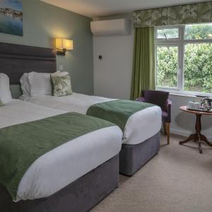 Standard Twin Room - Non-Smoking