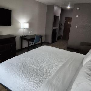 Standard King Room - Communications/Mobility Accessible with Shower
