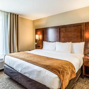 Superior King Suite with Sofa Bed - Non-Smoking