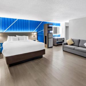 Large One Room Suite with Pool View - Non Smoking