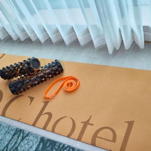 Deluxe King Suite