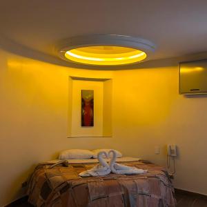 Duplex Suite