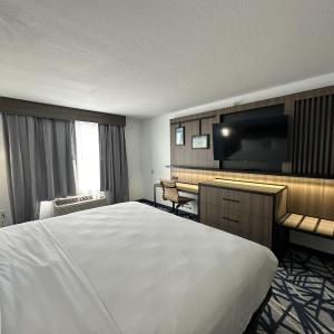 King Suite - Mobility Accessible with Bathtub and Sofa Bed