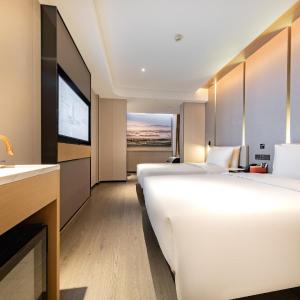 Elegant Twin Room