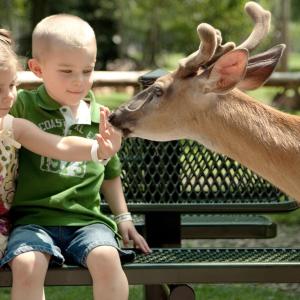 [Zoo Pass] Standard Family Twin Room + 2 Zoo Tickets per Reservation + 2 Breakfast