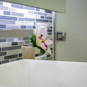 Twin Room - Pet Friendly