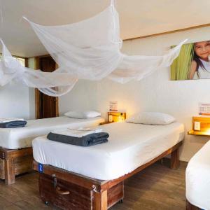 Single Bed in Dormitory Room