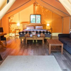 Safari Tent 6