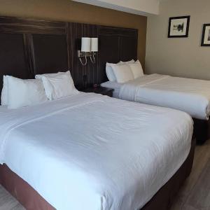 Queen Room with Two Queen Beds - Second Floor - No Pets