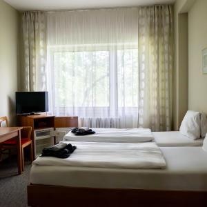 Double or Twin Room with Balcony