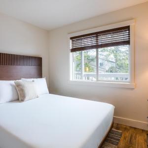 Ocean View Two Queen Kitchen Suite