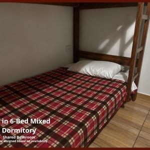 Bed in 6-Bed Dormitory Room