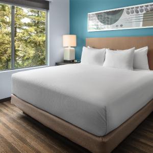 One-Bedroom King Suite with Sofa Bed and Kitchen