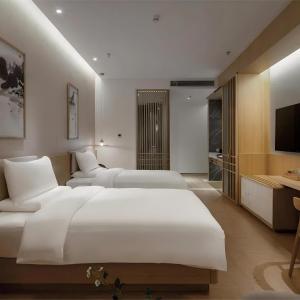 Elegant Twin Room