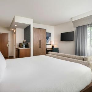 Superior King Room with Panoramic View, River View and Balcony