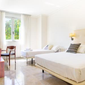 Basic Triple Room