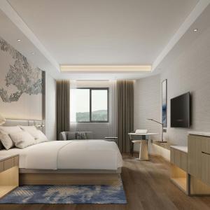Standard King Room with City View