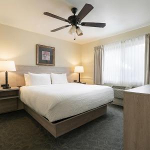 Harbor Pool Suite