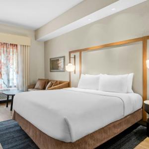 King Room with Sofa Bed - Hearing Accessible