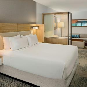 King Suite with Trundle Sofa