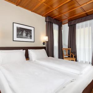 Double or Twin Room with Terrace