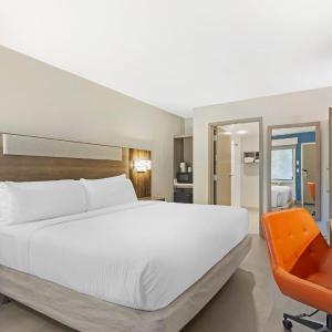 King Room - Mobility Accessible/Roll-In Shower/Pet Friendly