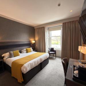 Town Square View Room