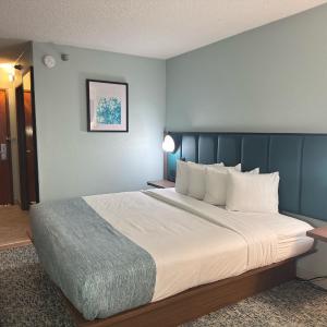 King Room - Non-Smoking