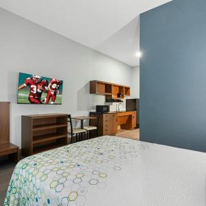 Studio Queen Room Disability Access Roll-In Shower Non-Smoking