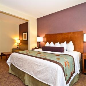 King Suite with Sofa Bed - Non-Smoking