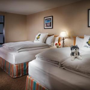 Deluxe Queen Room with Two Queen Beds