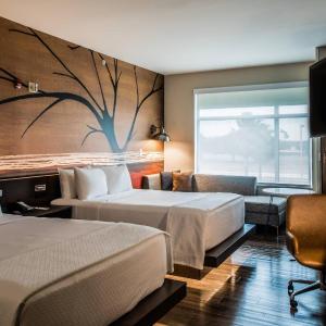 Queen Room with Two Queen Beds - Non-Smoking