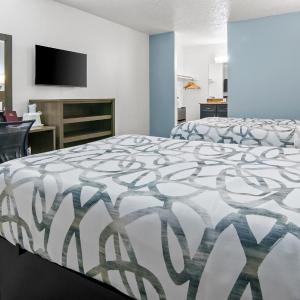 Double Room with Two Double Beds