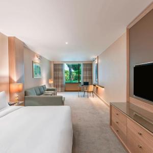 Garden Deluxe King Room 