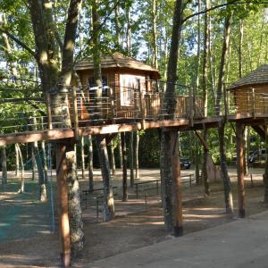 Treehouse
