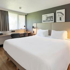 Superior King Room with One King Bed