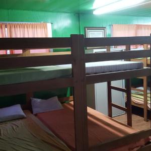 Bunk Bed in Mixed Dormitory Room