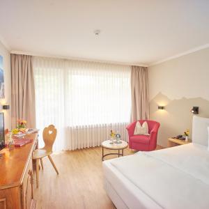 Comfort Double Room with Mountain View