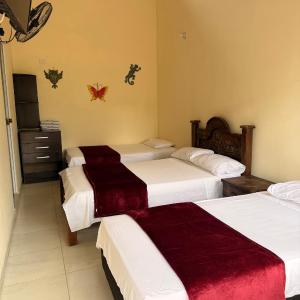 Comfort Quadruple Room